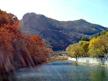 天天彩好彩天天免费，池州黄页大全